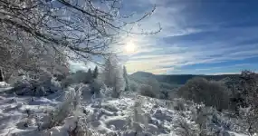 De la neige dans un paysage ensoleillé